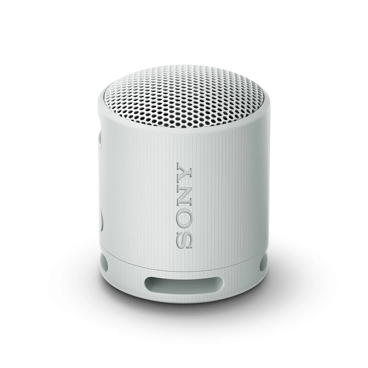 sony srs xb100